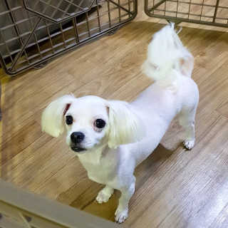 이수진님이 올린 리뷰 사진 1