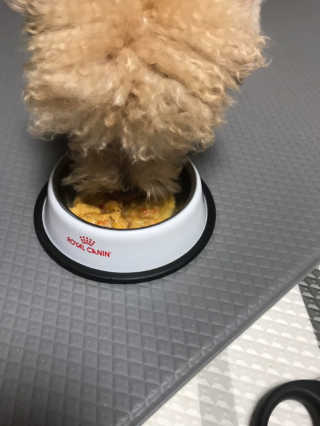 모모맘님이 올린 리뷰 사진 3