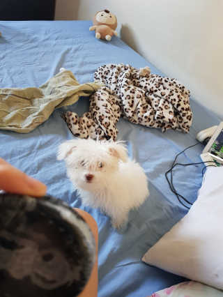 실실2님이 올린 리뷰 사진 2