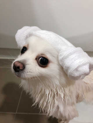 핸진님이 올린 리뷰 사진 2