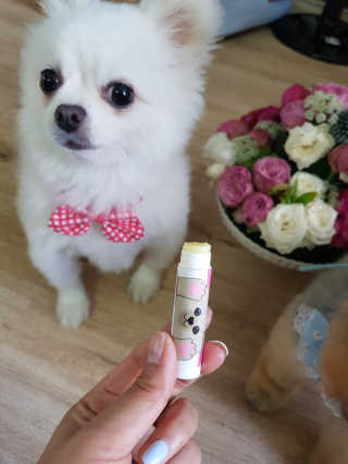 이엘리사님이 올린 리뷰 사진 3