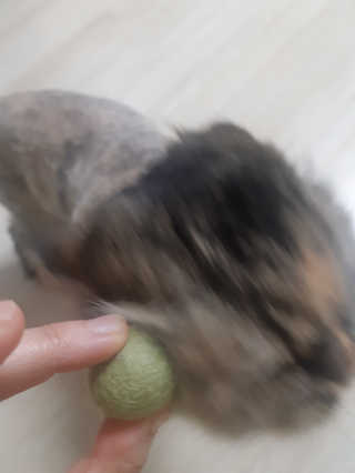 하스님이 올린 리뷰 사진 2