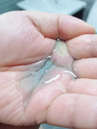 다슈코리아 다슈 데일리 비타플렉스 올인원 바디워시 — 4.5점을 준 리뷰어가 2019년 8월 올린 사용 사진