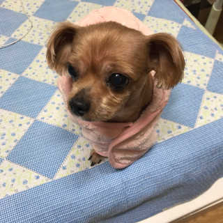 오현주님이 올린 리뷰 사진 2