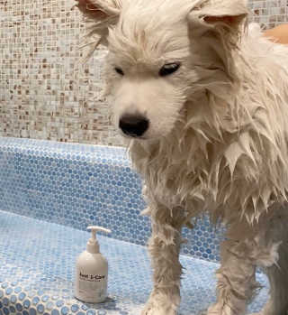 희알라님이 올린 리뷰 사진 1