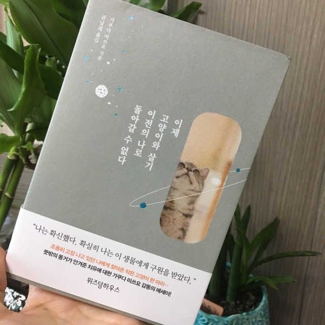 이제 고양이와 살기 이전의 나로 돌아갈 수 없다 리뷰 사진