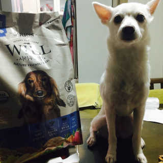 혜지니님이 올린 리뷰 사진 1