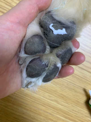 셀럽봉봉님이 올린 리뷰 사진 2