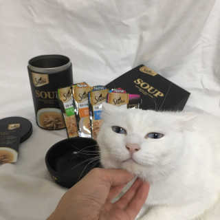 괴체맘님이 올린 리뷰 사진 4