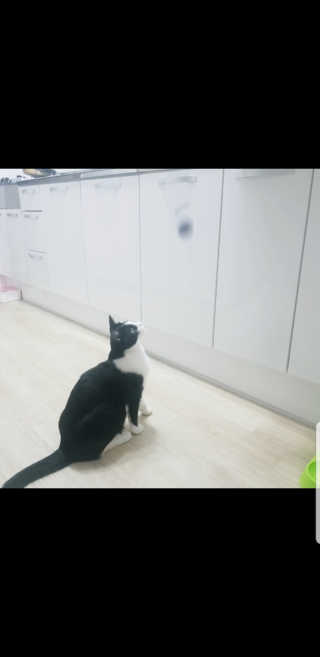 삐찌님이 올린 리뷰 사진 2