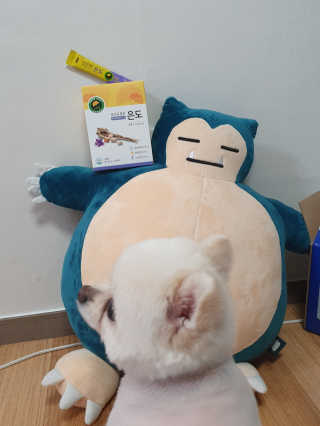 현이님이 올린 리뷰 사진 2