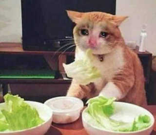 논지님이 올린 리뷰 사진 3