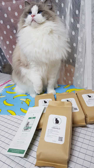 동그링님이 올린 리뷰 사진 2