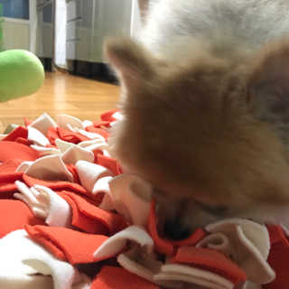 파이누이님이 올린 리뷰 사진 2