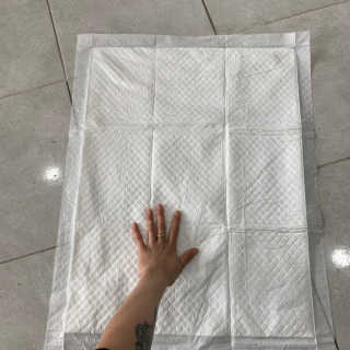 펫토리아 한장뚝딱 NEW 프리미엄 국내산 배변패드 — 5점을 준 리뷰어가 2019년 5월 올린 사용 사진