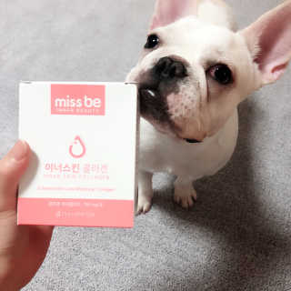 불독키우는개엄마❤️님이 올린 리뷰 사진 3