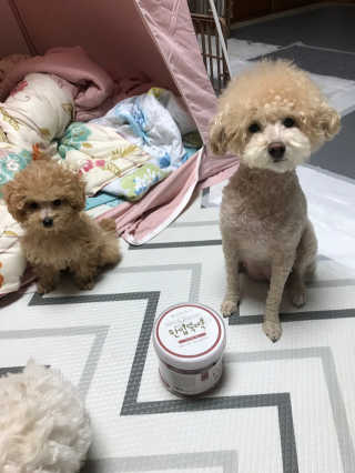 모모맘님이 올린 리뷰 사진 3