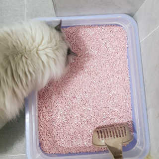 지니님이 올린 리뷰 사진 2