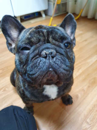 탱크돌콩님이 올린 리뷰 사진 3
