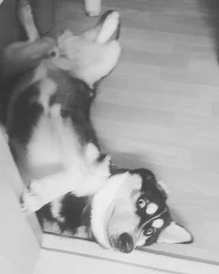 Soo님이 올린 리뷰 사진 3