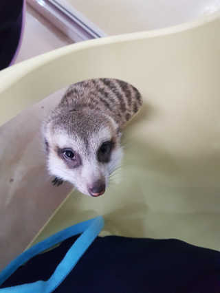 꿀피부님이 올린 리뷰 사진 2