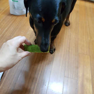 몽이뚜님이 올린 리뷰 사진 3