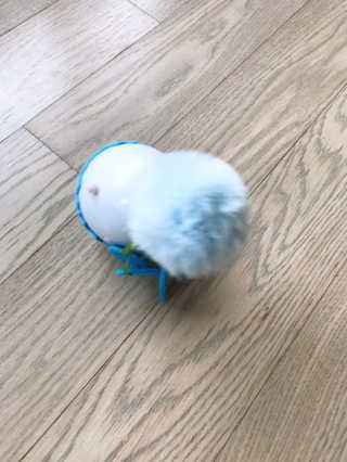 민댕댕이님이 올린 리뷰 사진 3