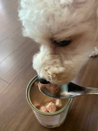 나몽님이 올린 리뷰 사진 4