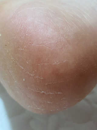불량주부벗어나기님이 올린 리뷰 사진 3
