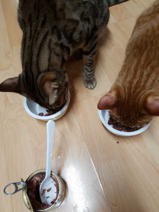 김진영님이 올린 리뷰 사진 3