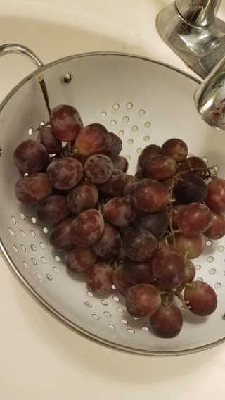 베지아쿠아 야채 아쿠아 475ml — 5점을 준 리뷰어가 2019년 8월 올린 사용 사진