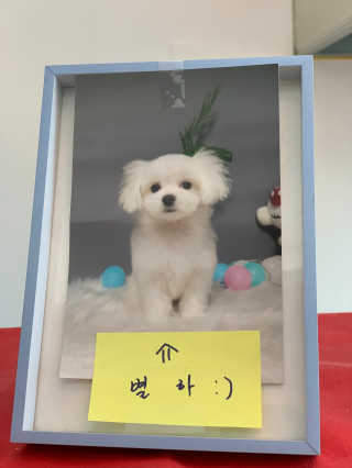 요하님이 올린 리뷰 사진 3