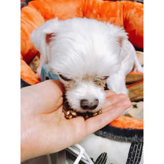 StellaJeong님이 올린 리뷰 사진 4