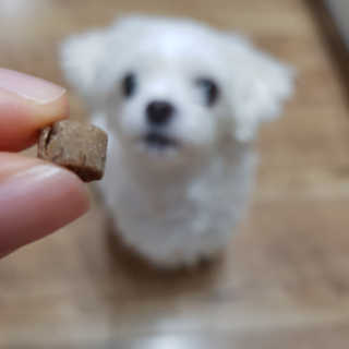 엘비스님이 올린 리뷰 사진 1