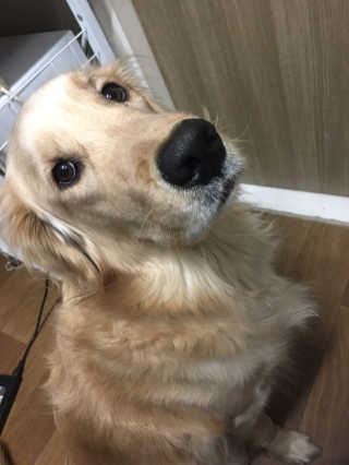 pang2님이 올린 리뷰 사진 4