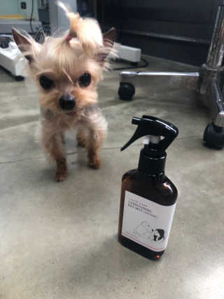 황방울이님이 올린 리뷰 사진 3