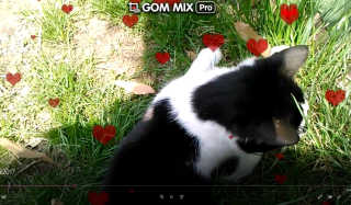 GOM Mix Pro - 비디오 편집 프로그램 — 4점을 준 리뷰어가 2018년 2월 올린 사용 사진