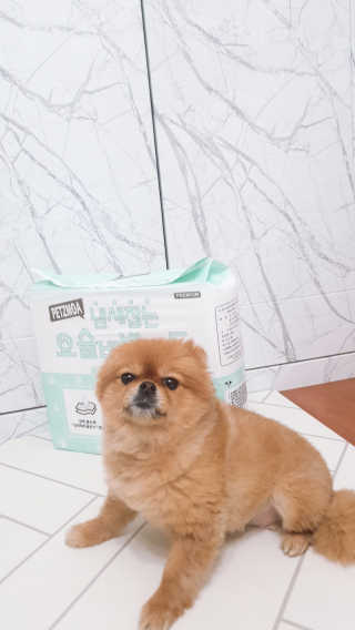 YulaKim님이 올린 리뷰 사진 3