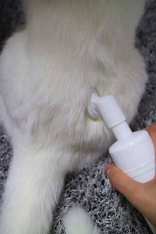 라임님이 올린 리뷰 사진 4