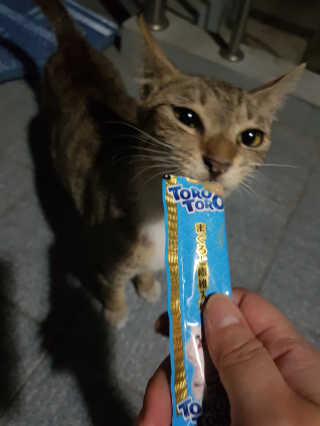 흥이님이 올린 리뷰 사진 2