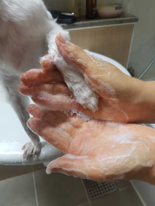 랑이님이 올린 리뷰 사진 4