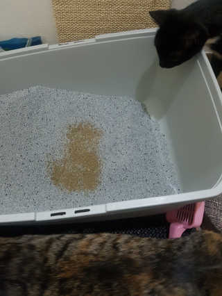 먹방슈트리아님이 올린 리뷰 사진 3