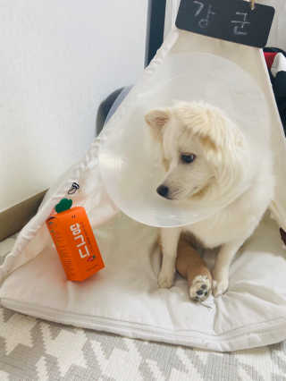 강이님이 올린 리뷰 사진 4