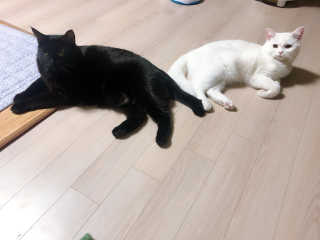 레옹이쁘니님이 올린 리뷰 사진 1