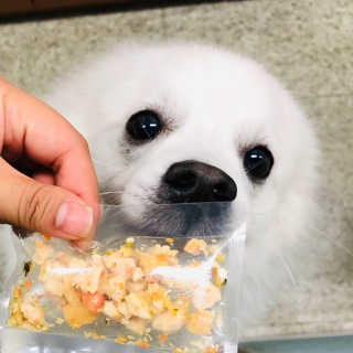 도리니님이 올린 리뷰 사진 4