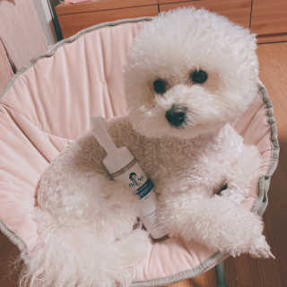 콜라맘마님이 올린 리뷰 사진 2