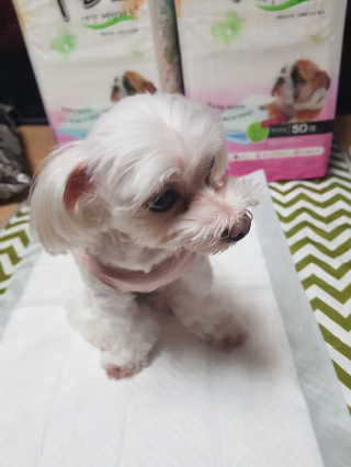 미미네님이 올린 리뷰 사진 3