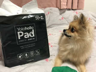Ariel님이 올린 리뷰 사진 2