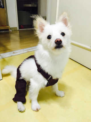 Chelsea님이 올린 리뷰 사진 2