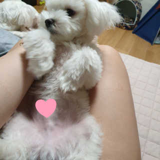 숮이님이 올린 리뷰 사진 3